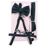 Harness
