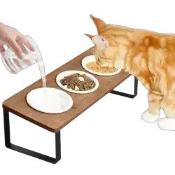 Sunhoo Cat Triple Bowls