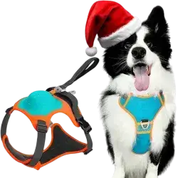 Dog Harness with Leash L