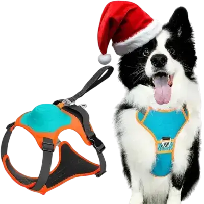 Dog Harness with Leash L
