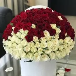 Box Of Natural Roses
