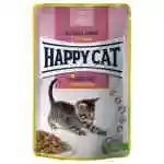 Chicken Kitten & Junior Meat in Sauce 85g