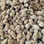 Dried Berries