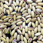 Pistachio