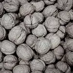 American Walnuts