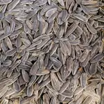 Seeds