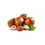 Hazelnut Seeds
