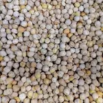 Kurdish Chickpeas