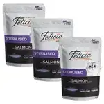 Felicia Salmon 12x
