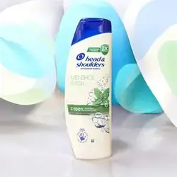Head & Shoulders Fresh