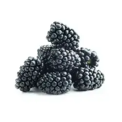 Mulberry