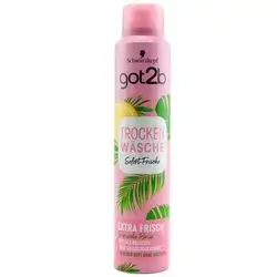 GOT2B Extra Fresh Dry Shampoo