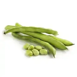 Wet Beans