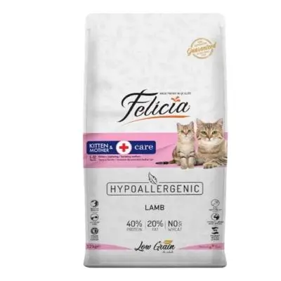 Felicia Kitten & Mother with Lamb 2kg
