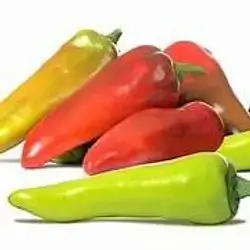 Pepper