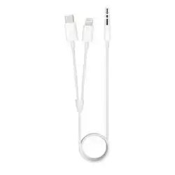 2-in-1 Type-C & Lightning to 3.5mm AUX Audio