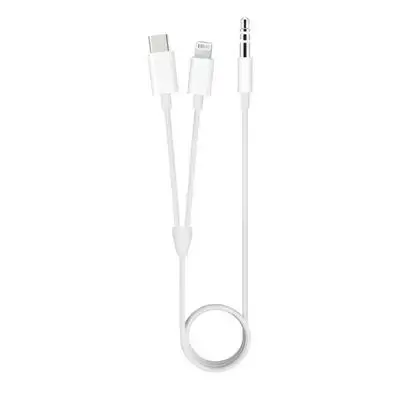 2-in-1 Type-C & Lightning to 3.5mm AUX Audio