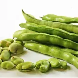Wet Beans