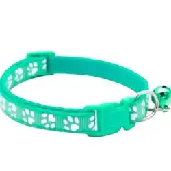 Collar