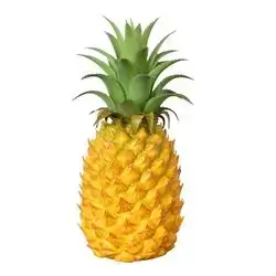 GOLDEN PINEAPPLE
