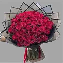 50 Rose