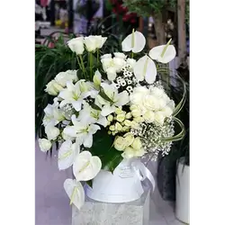 Flower Box