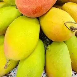 Yemeni Mango