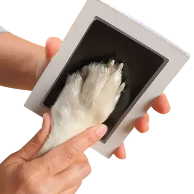 E473 Cat & Dog Paw Print