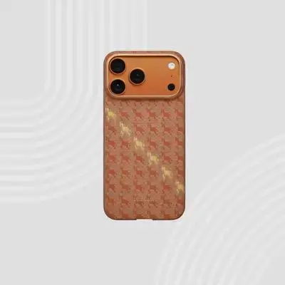 Pitaka case