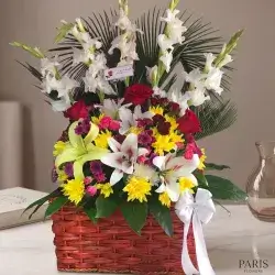 Basket Of Flowers
