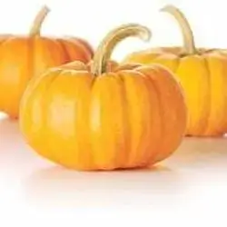 Pumpkin