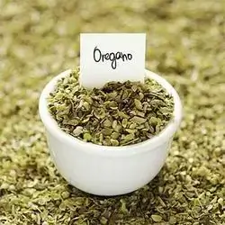 Oregano