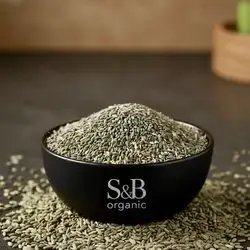 Visnaga daucoides / Xaltan