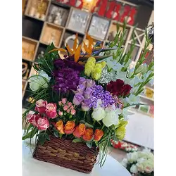 Basket Flower
