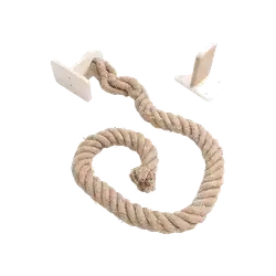 پەتی چنگگرتن بۆ پشیلە