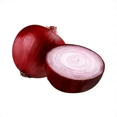 Purple Onion