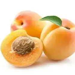 Apricot