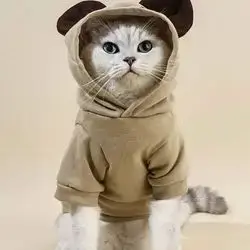 Hoodie M