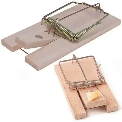 Mousetrap 170X85Mm