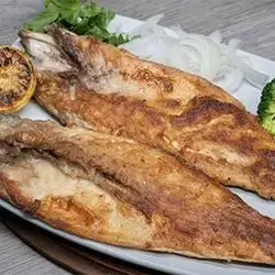 Fish