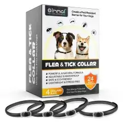 Oimmal Flea & Tick Collar 4X