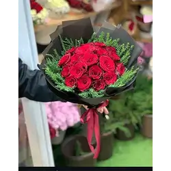 20 Rose
