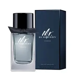Burberry Indigo Eau de Toilette 100ml