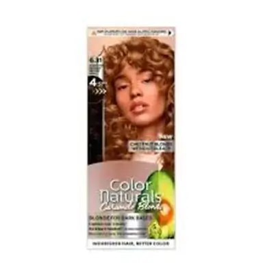 Garnier Color Naturals 6.31