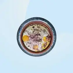 Eggs