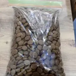 Dry food dog