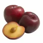 Plum