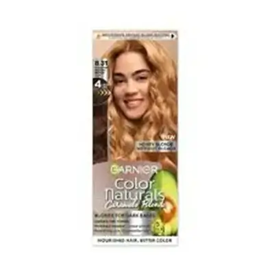 Garnier Color Naturals 8.31