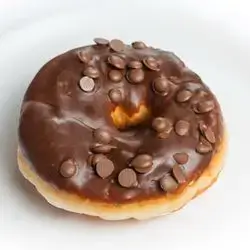 Chocolate Chip Donut