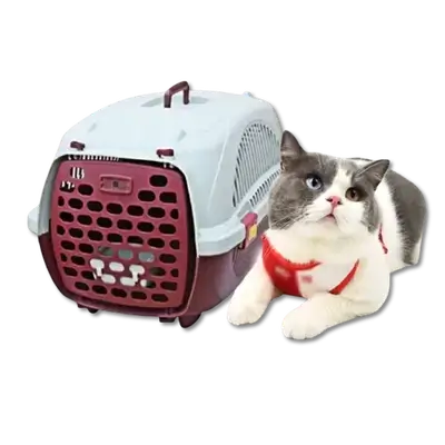 E786 Plastic Cage